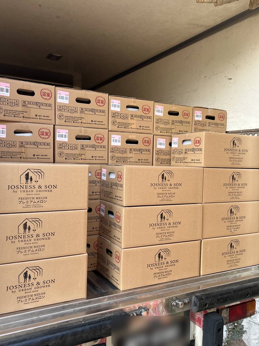 Josness & Son by Urban Grower premium melon boxes stacked in a delivery truck