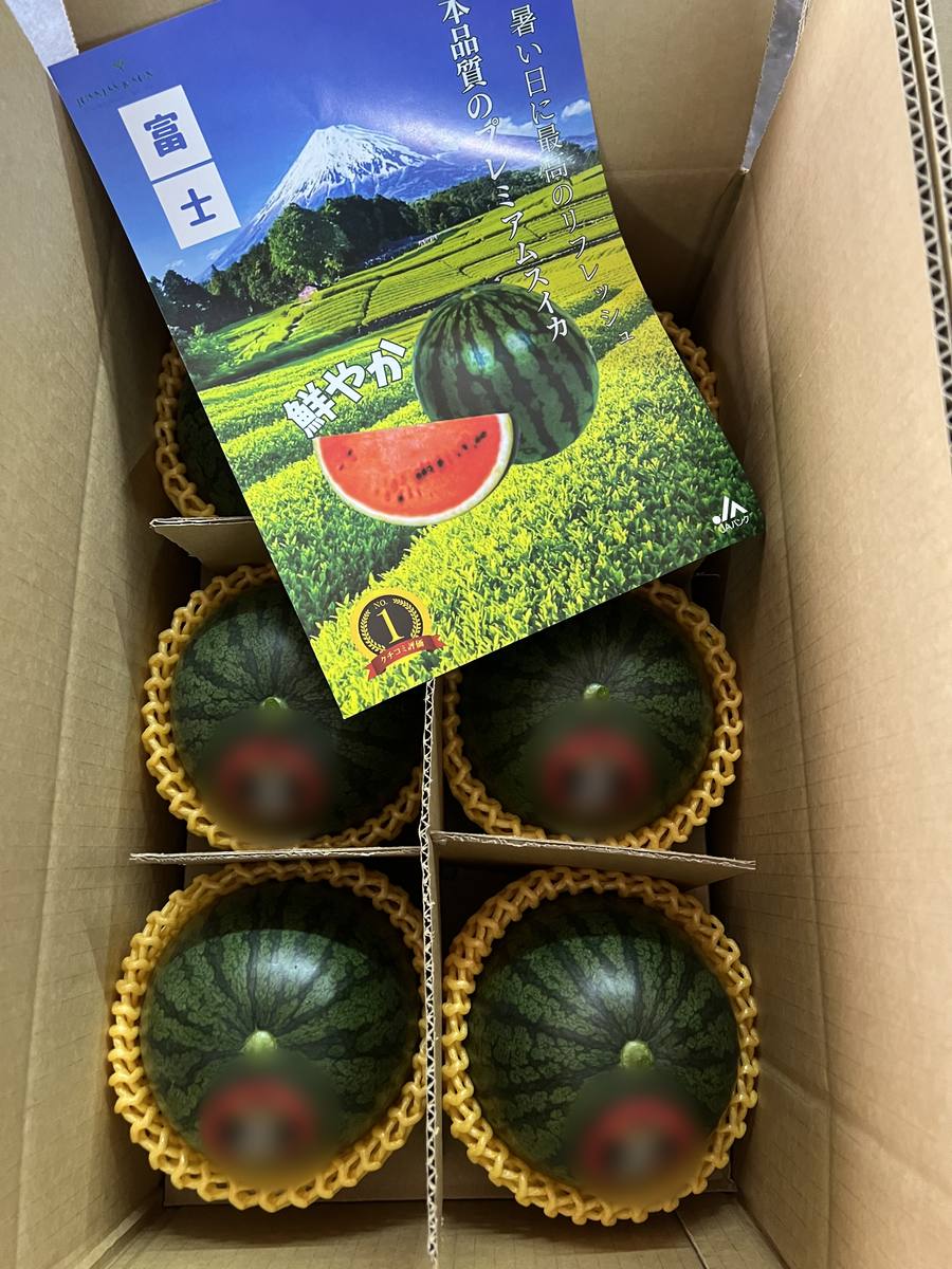 Fuji watermelons packed in a carton with protective foam nets